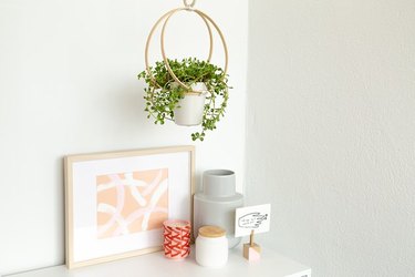 Hanging planter out of embroidery hoops.
