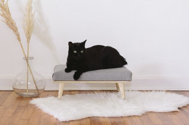 Black cat lying on a modern mini cat daybed.