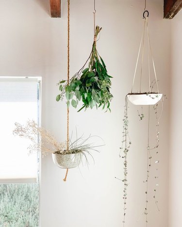 Hanging plants in living room near window.