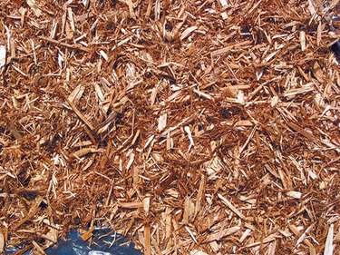 Cedar mulch.