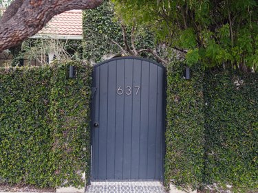 front gate surrounded by shrubs featuring the number 637