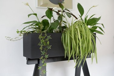 Black planter box with plants.