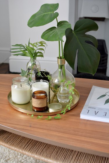 Assorted plants in small bottle vases in plate holder on top of wood table in white room with grey carpet