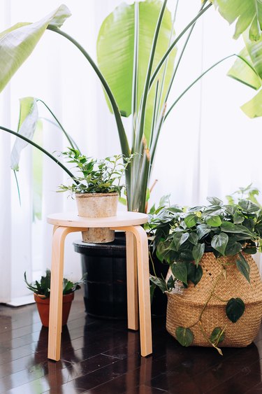 IKEA FROSTA Stool Hack Into Plant Stand