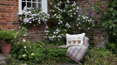 bench in garden nook