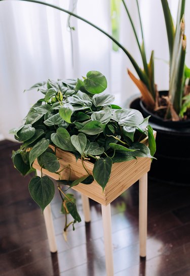 IKEA VARIERA  planter