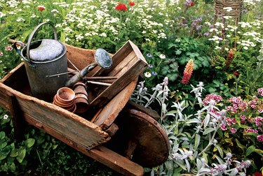 rustic wheelbarrow and watering can