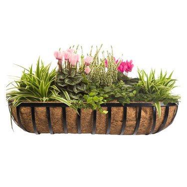 hayneedle horse trough planter