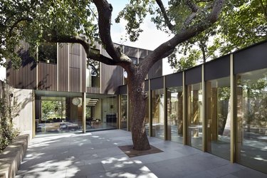 century-old pear tree is the center of this London home's design