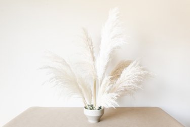 Pampas Grass Arrangement