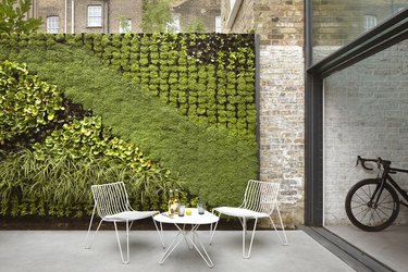 living green wall on a terrace in London