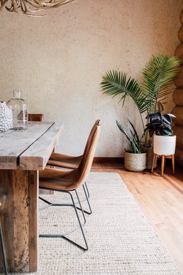 natural decor in dining room with plants in a corner