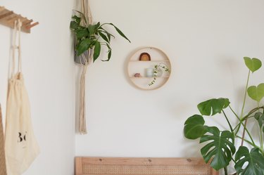 Wooden circle shelf on wall above bed. Green plants either side of shelf.
