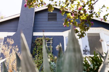 Blue house surrounded by greenery