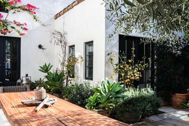 Back patio of home with dining table and lemon tree