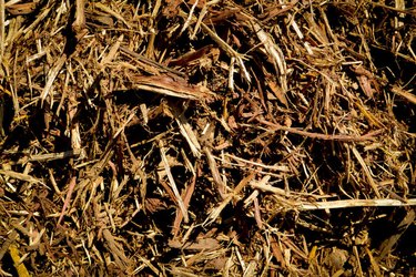 Garden mulch.