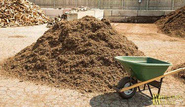 Pile of mulch.