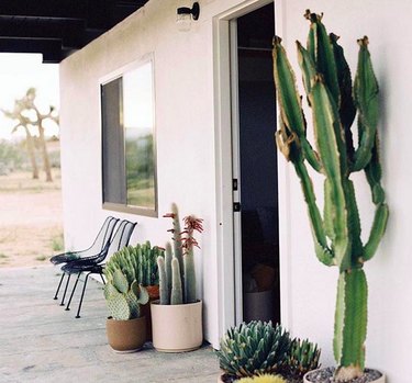 Joshua Tree Home