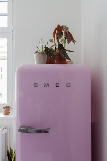 The pink fridge sets the kitchen's tone.