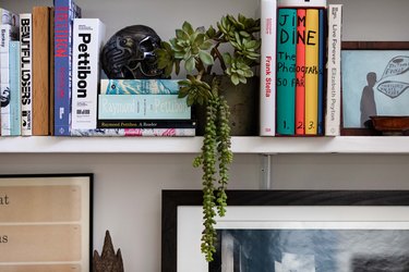 bookshelf with plant