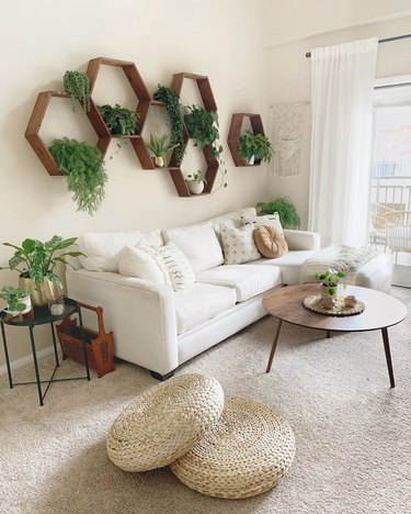 plant-filled living room