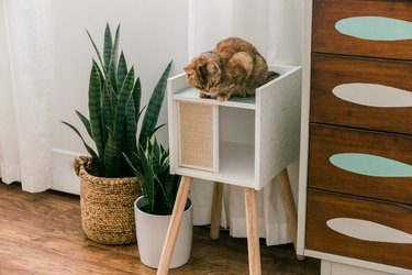ikea hack of IKEA Lurvig Cat House with wallpaper upgrade