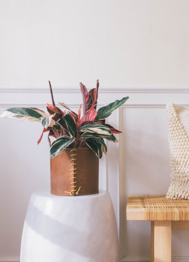 DIY leather wrapped planter with pink and green leaf plant on marble stool next to bench