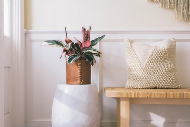 DIY leather wrapped planter with pink and green leaf plant on marble stool next to bench