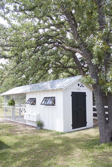 Modern shed with modern farmhouse details and chicken coop