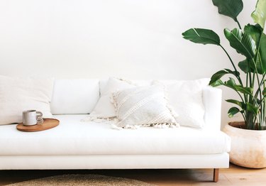 clean white living room with banana palms