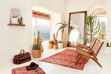 desert retreat with straw-bale walls cement flooring and potted cacti