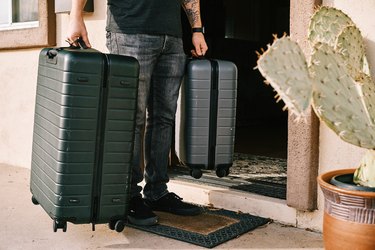 person holding two suitcases with plant nearby