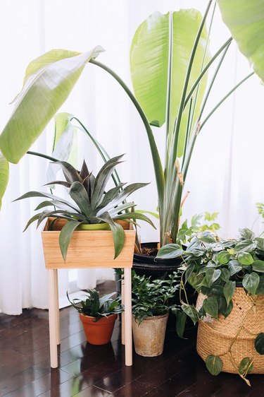 IKEA Hack: From Plain Box to Planter