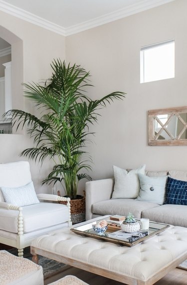 cream coastal family room with plants and shells