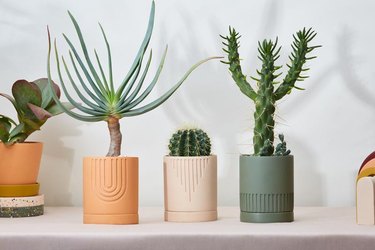 Australian brand Capra Designs resin planters