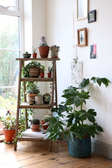 awkward living room corner idea with plants and art