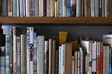 Bookshelves filled with books