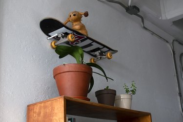 Skateboard mounted on wall with potted plants below