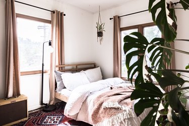Boho bedroom with green plant