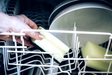 placing sponge in dishwasher to get cleaned