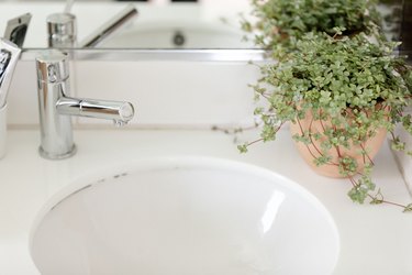 close up of a sink, faucet and plant