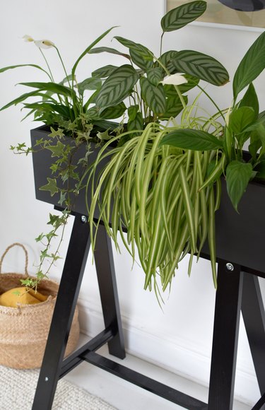 Oddvald Ikea Hack Plant Stand