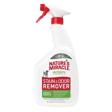 spray bottle of nature's miracle dog stain and odor remover