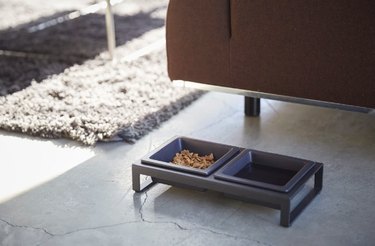 black pet bowl with stand in living room near couch