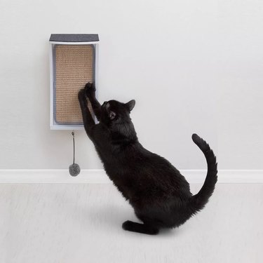 cat scratching a scratcher on the wall