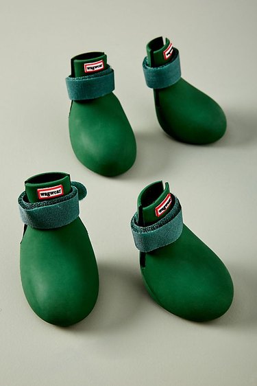 four green dog booties