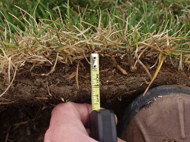 Measuring the thatch area.