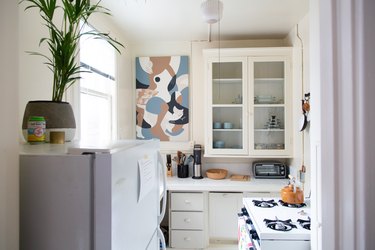 White kitchen with plant on refrigerator and artwork on wall