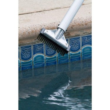 Small 5-inch stainless steel pool brush.