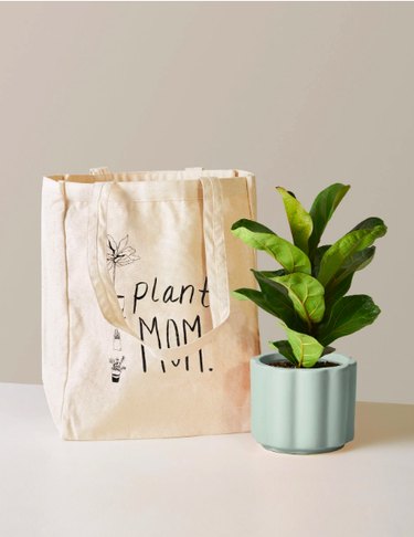 tote bag with "plant mom" text and plant in mint planter